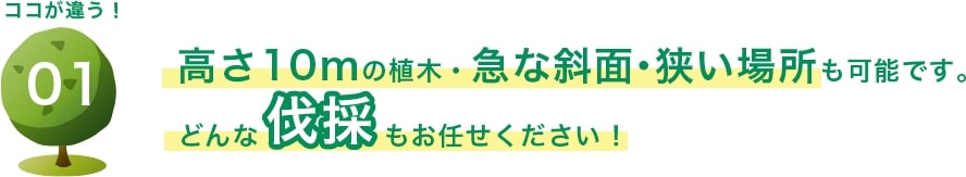 高さ10mの植木・急な斜面・狭い場所も可能です。どんな伐採もお任せください！