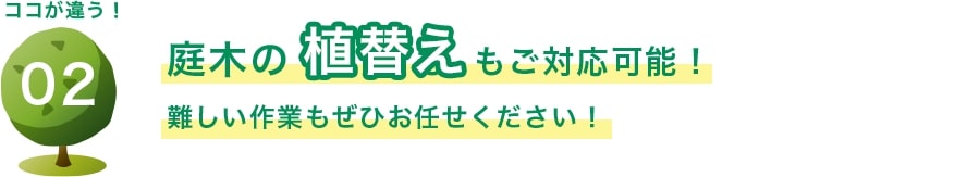 庭木の植替えもご対応可能！ 難しい作業もぜひお任せください！